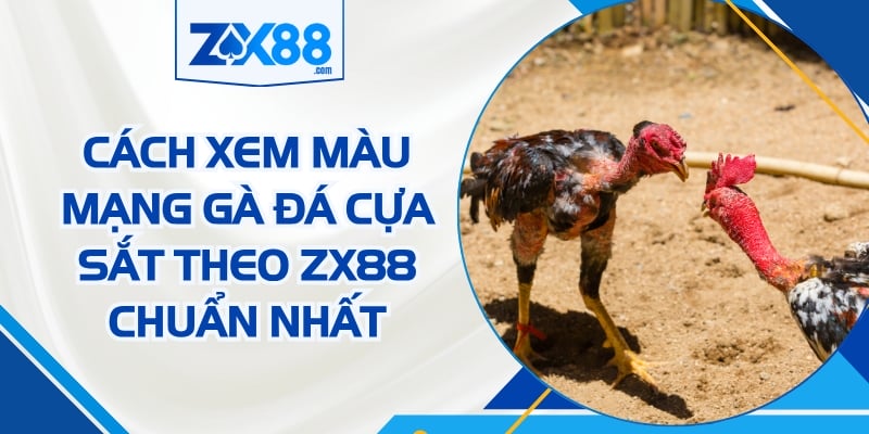 Cách xem màu mạng gà đá cựa sắt