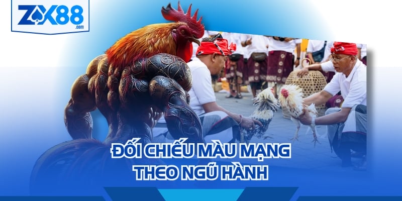 Các căn cứ tìm mạng gà đơn giản